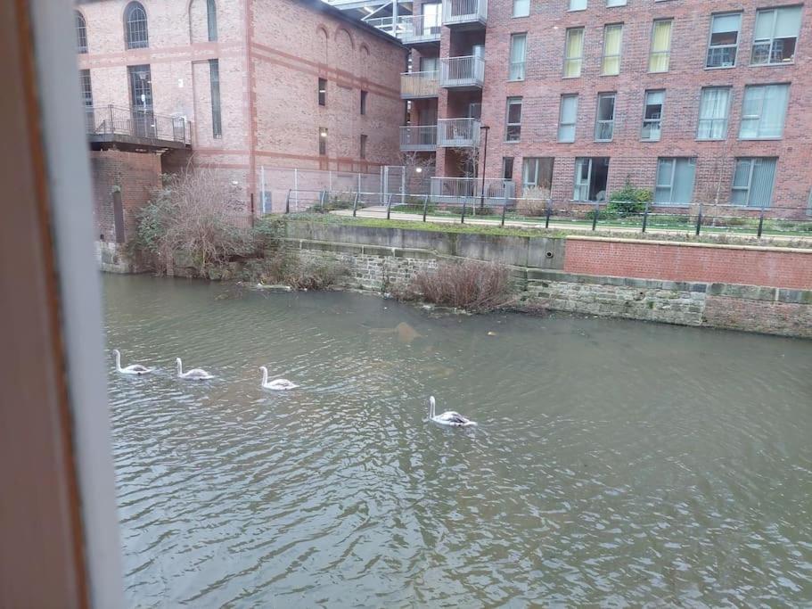 21 The Cocoa Suites York Dış mekan fotoğraf
