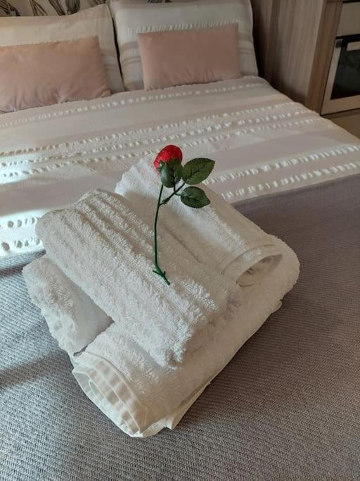 21 The Cocoa Suites York Dış mekan fotoğraf